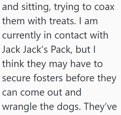 and sitting, trying to coax them with treats. I am currently in contact with Jack Jack's Pack, but I think they may have to secure fosters before they can come out and wrangle the dogs. They've