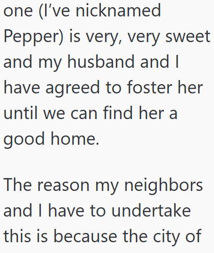 one (I've nicknamed Pepper) is very, very sweet and my husband and I have agreed to foster her until we can find her a good home. The reason my neighbors and I have to undertake this is because the city of