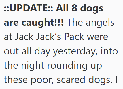 ::UPDATE:: All 8 dogs are caught!!! The angels at Jack Jack's Pack were out all day yesterday, into the night rounding up these poor, scared dogs. I