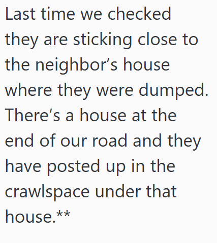 Last time we checked they are sticking close to the neighbor's house where they were dumped. There's a house at the end of our road and they have posted up in the crawlspace under that house.**