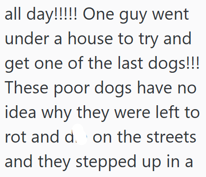 all day!!!!! One guy went under a house to try and get one of the last dogs!!! These poor dogs have no idea why they were left to rot and do on the streets and they stepped up in a