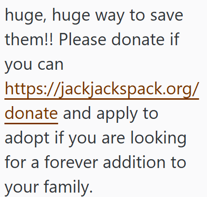 huge, huge way to save them!! Please donate if you can https://jackjackspack.org/ donate and apply to adopt if you are looking for a forever addition to your family.