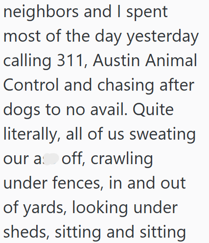 neighbors and I spent most of the day yesterday calling 311, Austin Animal Control and chasing after dogs to no avail. Quite literally, all of us sweating our a off, crawling under fences, in and out of yards, looking under sheds, sitting and sitting