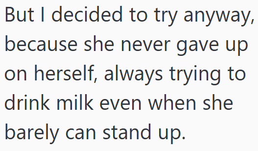 But I decided to try anyway, because she never gave up on herself, always trying to drink milk even when she barely can stand up.