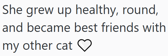 She grew up healthy, round, and became best friends with my other cat ♡