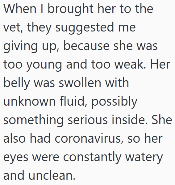 When I brought her to the vet, they suggested me giving up, because she was too young and too weak. Her belly was swollen with unknown fluid, possibly something serious inside. She also had coronavirus, so her eyes were constantly watery and unclean.