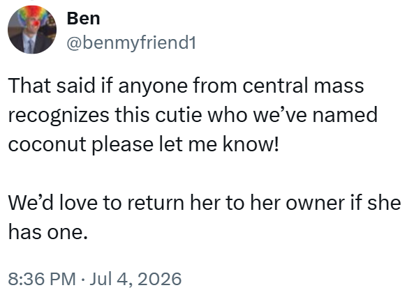 Ben @benmyfriend1 That said if anyone from central mass recognizes this cutie who we've named coconut please let me know! We'd love to return her to her owner if she has one. 8:36 PM ⚫ Jul 4, 2026 •