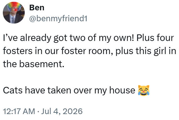 Ben @benmyfriend1 I've already got two of my own! Plus four fosters in our foster room, plus this girl in the basement. Cats have taken over my house 12:17 AM ⚫ Jul 4, 2026