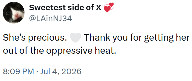 Sweetest side of X @LAinNJ34 She's precious. Thank you for getting her out of the oppressive heat. 8:09 PM ⚫ Jul 4, 2026