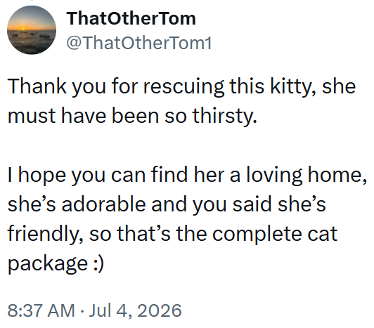 ThatOtherTom @ThatOtherTom1 Thank you for rescuing this kitty, she must have been so thirsty. I hope you can find her a loving home, she's adorable and you said she's friendly, so that's the complete cat package :) 8:37 AM ⚫ Jul 4, 2026