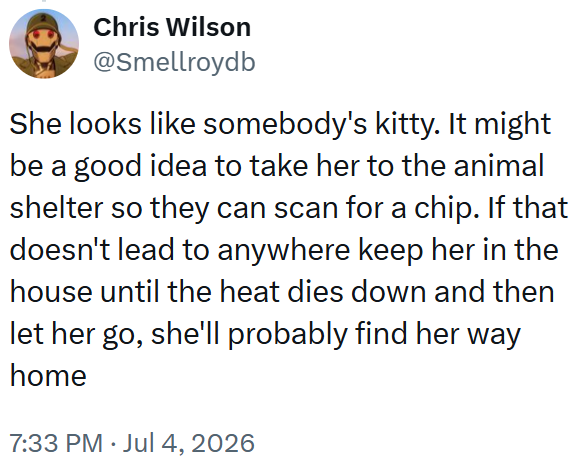 Chris Wilson @Smellroydb She looks like somebody's kitty. It might be a good idea to take her to the animal shelter so they can scan for a chip. If that doesn't lead to anywhere keep her in the house until the heat dies down and then let her go, she'll probably find her way home 7:33 PM ⚫ Jul 4, 2026