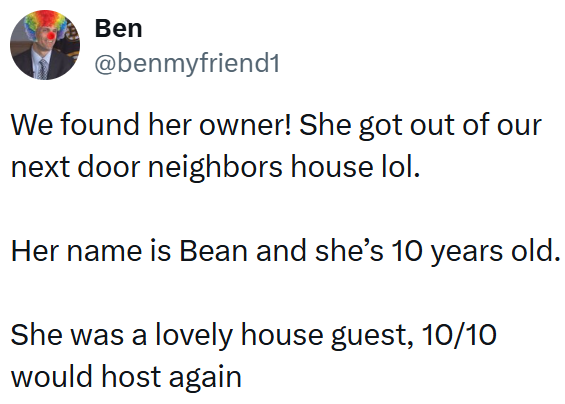Ben @benmyfriend1 We found her owner! She got out of our next door neighbors house lol. Her name is Bean and she's 10 years old. She was a lovely house guest, 10/10 would host again