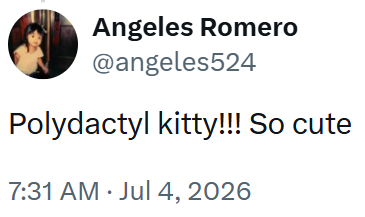 Angeles Romero @angeles524 Polydactyl kitty!!! So cute 7:31 AM Jul 4, 2026