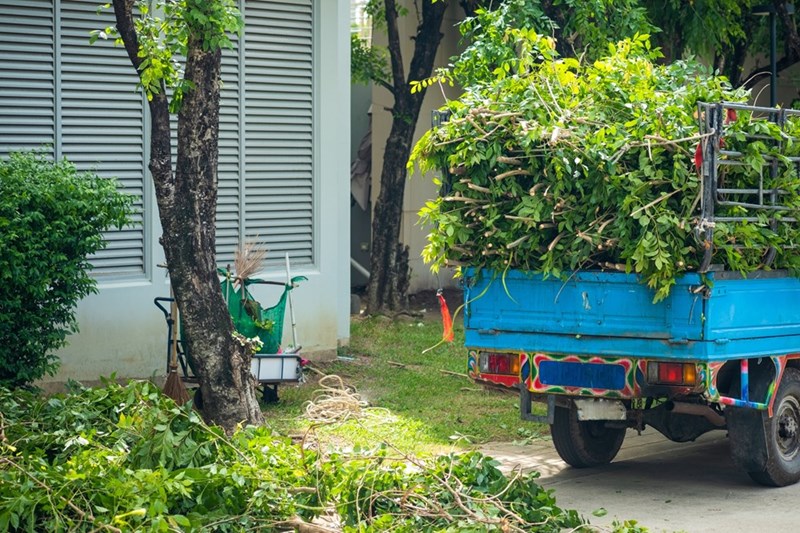 Blue truck loaded with cut branches parked beside a house, with piles of greenery scattered across the yard.