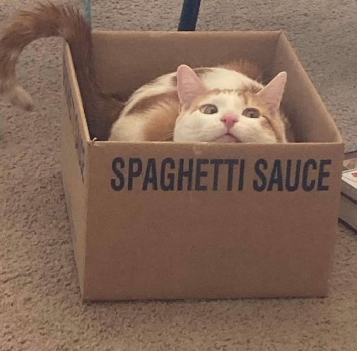 SPAGHETTI SAUCE