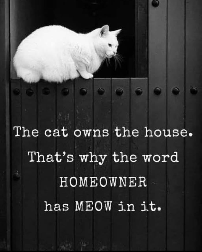 The cat owns the house. That's why the word HOMEOWNER has MEOW in it.