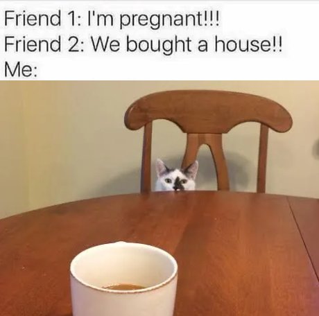Friend 1: I'm pregnant!!! Friend 2: We bought a house!! Me: