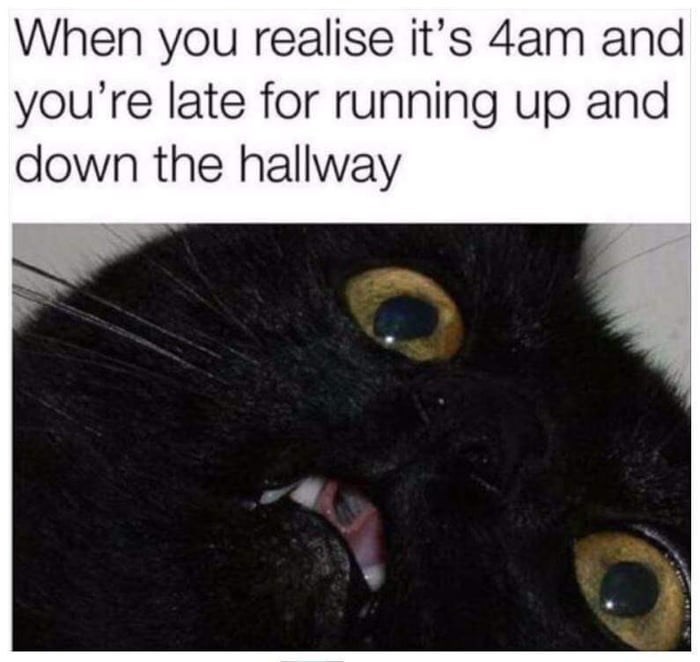 When you realise it's 4am and you're late for running up and down the hallway