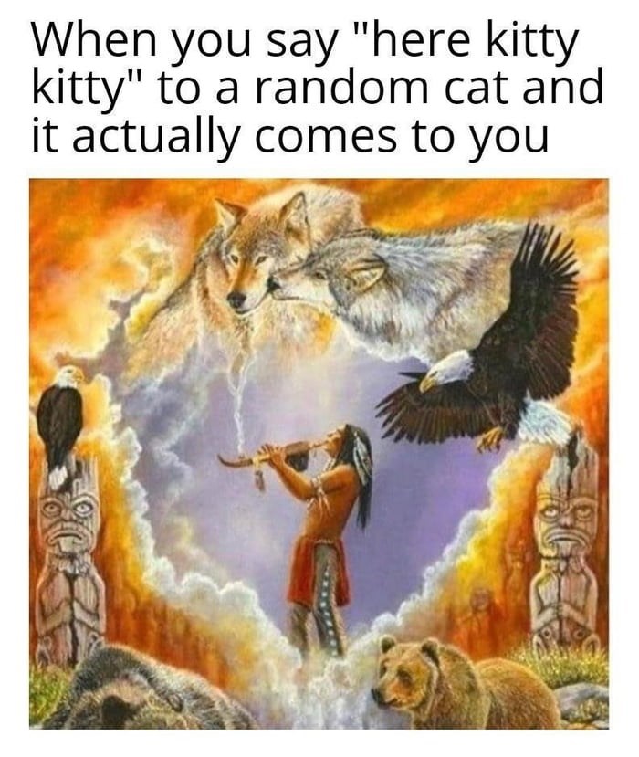 When you say "here kitty kitty" to a random cat and it actually comes to you