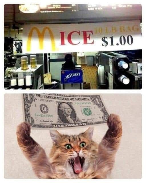 10 EB BAG MICE $1.00 MCFLURRY THE UNITED STATES OF AMERICA E040395 E040393398 4144 ONE DOLLAR