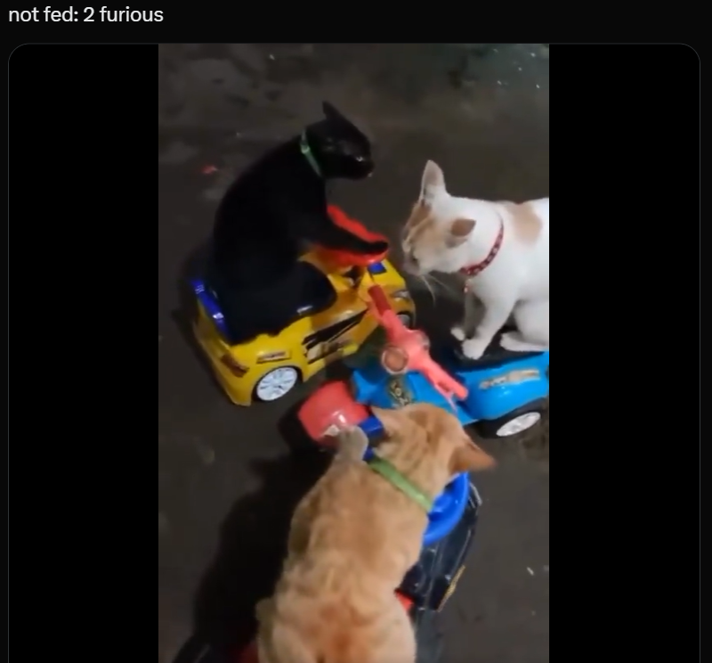 not fed: 2 furious