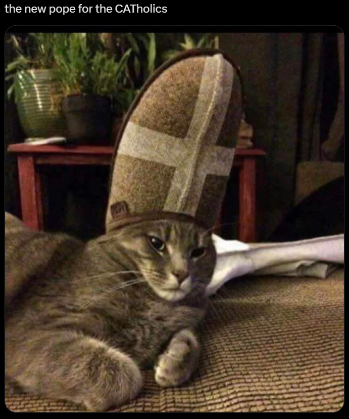 the new pope for the CATholics
