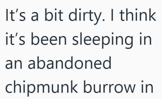 It's a bit dirty. I think it's been sleeping in an abandoned chipmunk burrow in