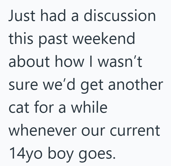Just had a discussion this past weekend about how I wasn't sure we'd get another cat for a while whenever our current 14yo boy goes.