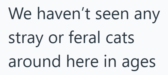 We haven't seen any stray or feral cats around here in ages