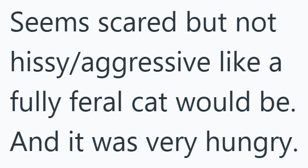 Seems scared but not hissy/aggressive like a fully feral cat would be. And it was very hungry.