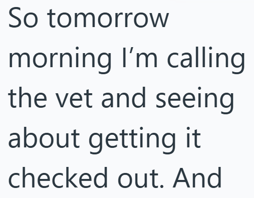 So tomorrow morning I'm calling the vet and seeing about getting it checked out. And