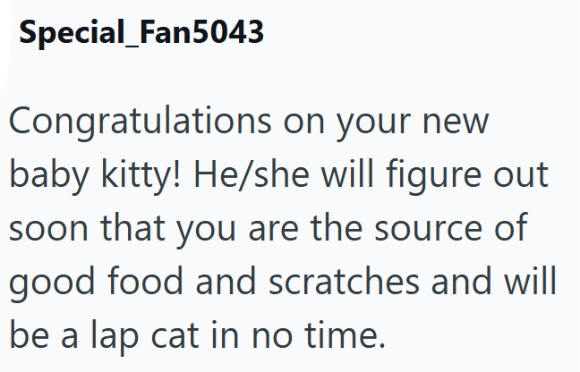 Special_Fan5043 Congratulations on your new baby kitty! He/she will figure out soon that you are the source of good food and scratches and will be a lap cat in no time.