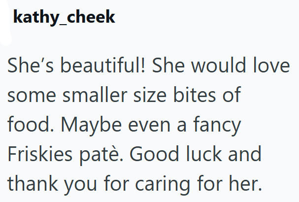 kathy_cheek She's beautiful! She would love some smaller size bites of food. Maybe even a fancy Friskies patè. Good luck and thank you for caring for her.