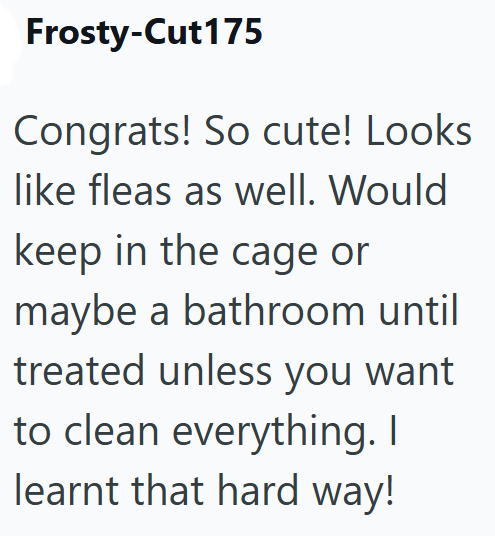 Frosty-Cut 175 Congrats! So cute! Looks like fleas as well. Would keep in the cage or maybe a bathroom until treated unless you want to clean everything. I learnt that hard way!