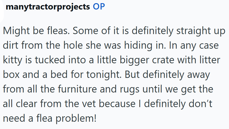 manytractorprojects OP Might be fleas. Some of it is definitely straight up dirt from the hole she was hiding in. In any case kitty is tucked into a little bigger crate with litter box and a bed for tonight. But definitely away from all the furniture and rugs until we get the all clear from the vet because I definitely don't. need a flea problem!