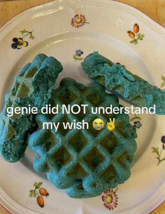 genie did NOT understand my wish