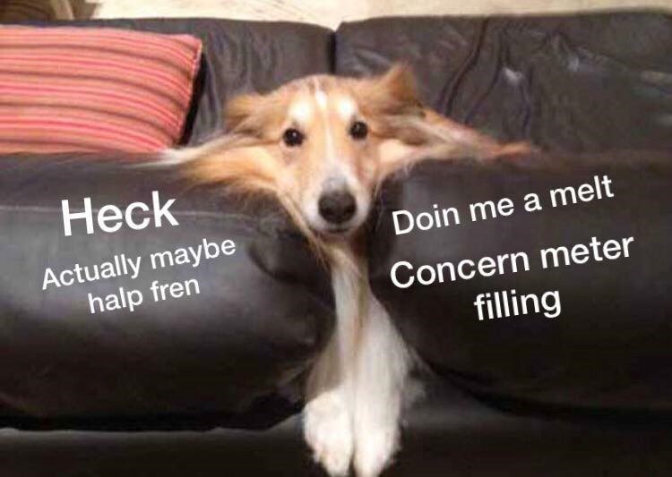Heck Actually maybe halp fren Doin me a melt Concern meter filling