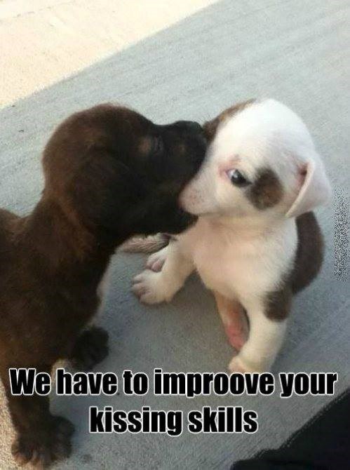 We have to improove your kissing skills
