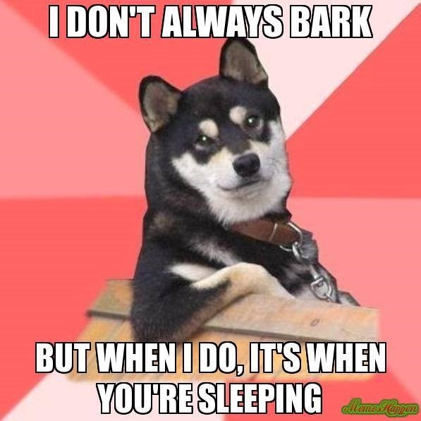 I DON'T ALWAYS BARK BUT WHEN I DO, IT'S WHEN YOU'RE SLEEPING Memo Sappen