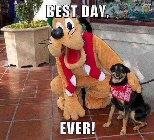 BEST DAY, EVER!