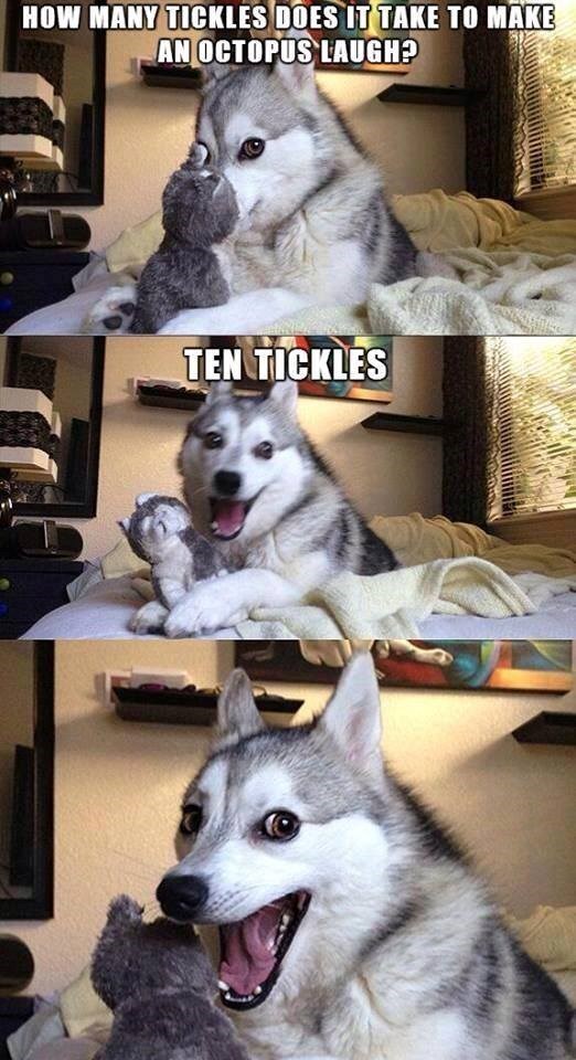 HOW MANY TICKLES DOES IT TAKE TO MAKE AN OCTOPUS LAUGH? TEN TICKLES