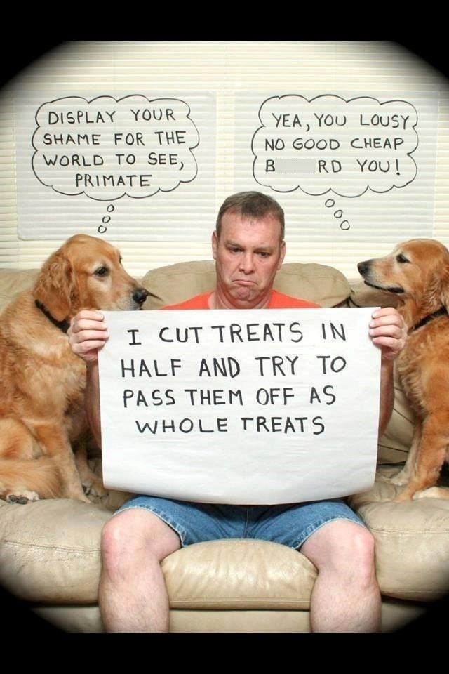 000 DISPLAY YOUR SHAME FOR THE WORLD TO SEE, PRIMATE YEA, YOU LOUSY) NO GOOD CHEAP RD YOU! B 000 I CUT TREATS IN HALF AND TRY TO PASS THEM OFF AS WHOLE TREATS