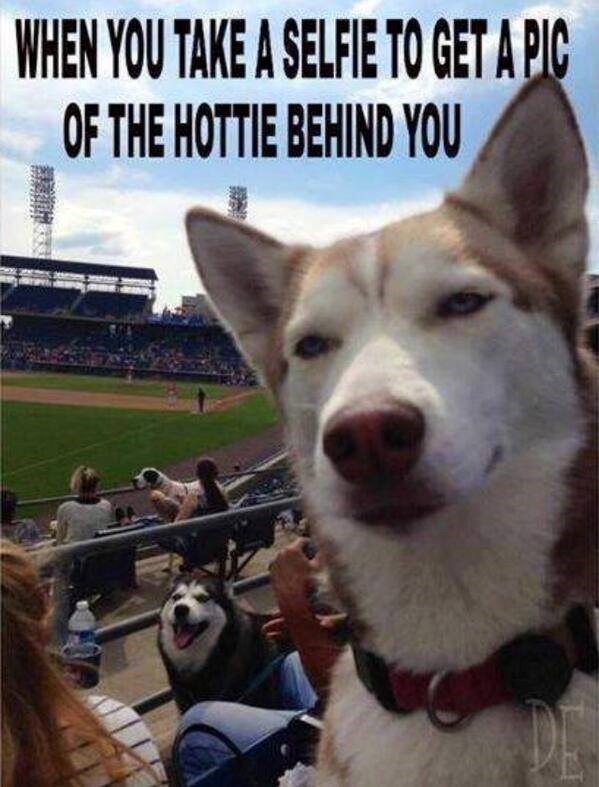 WHEN YOU TAKE A SELFIE TO GET A PIC OF THE HOTTIE BEHIND YOU