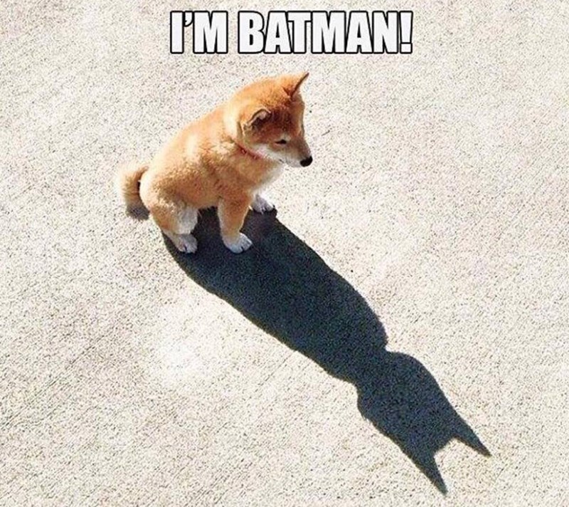 I'M BATMAN!