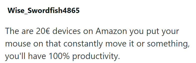 Wise Swordfish4865 The are 20€ devices on Amazon you put your mouse on that constantly move it or something, you'll have 100% productivity.