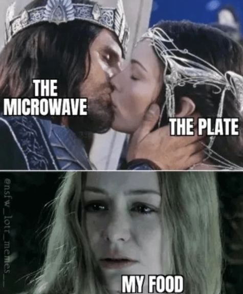 THE MICROWAVE ensfw_lotr_memes, THE PLATE MY FOOD