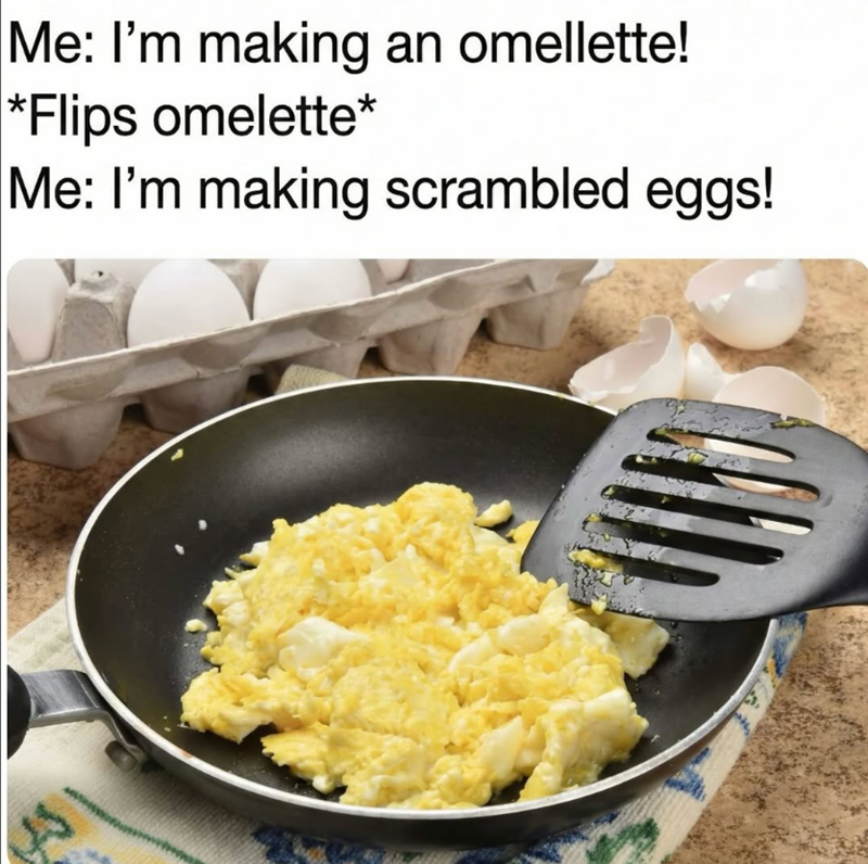 Me: I'm making an omellette! *Flips omelette* Me: I'm making scrambled eggs!