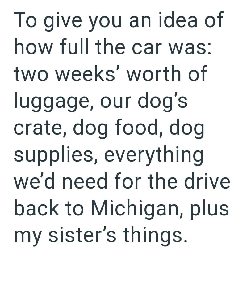 To give you an idea of how full the car was: two weeks' worth of luggage, our dog's crate, dog food, dog supplies, everything we'd need for the drive back to Michigan, plus my sister's things.