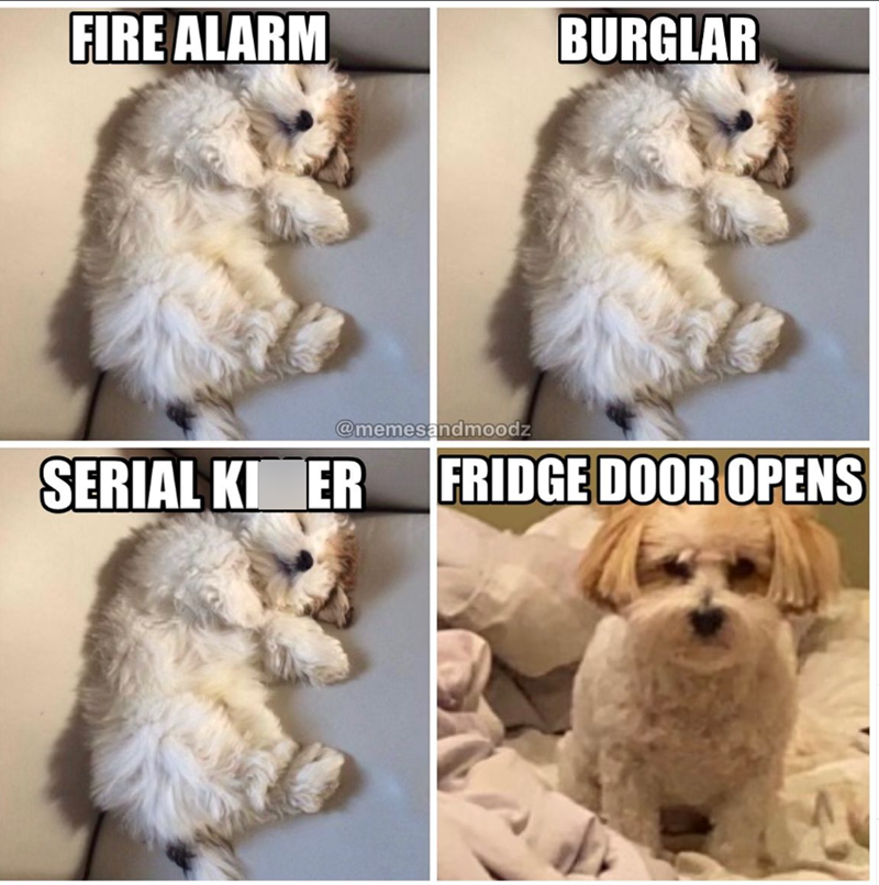 FIRE ALARM BURGLAR @memesandmoodz SERIAL KI ER FRIDGE DOOR OPENS