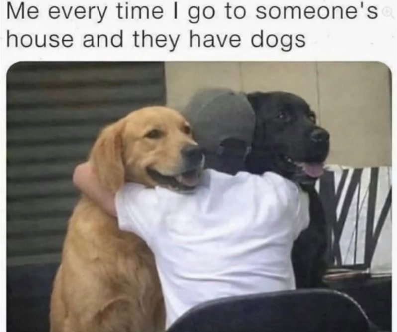 Me every time I go to someone's house and they have dogs